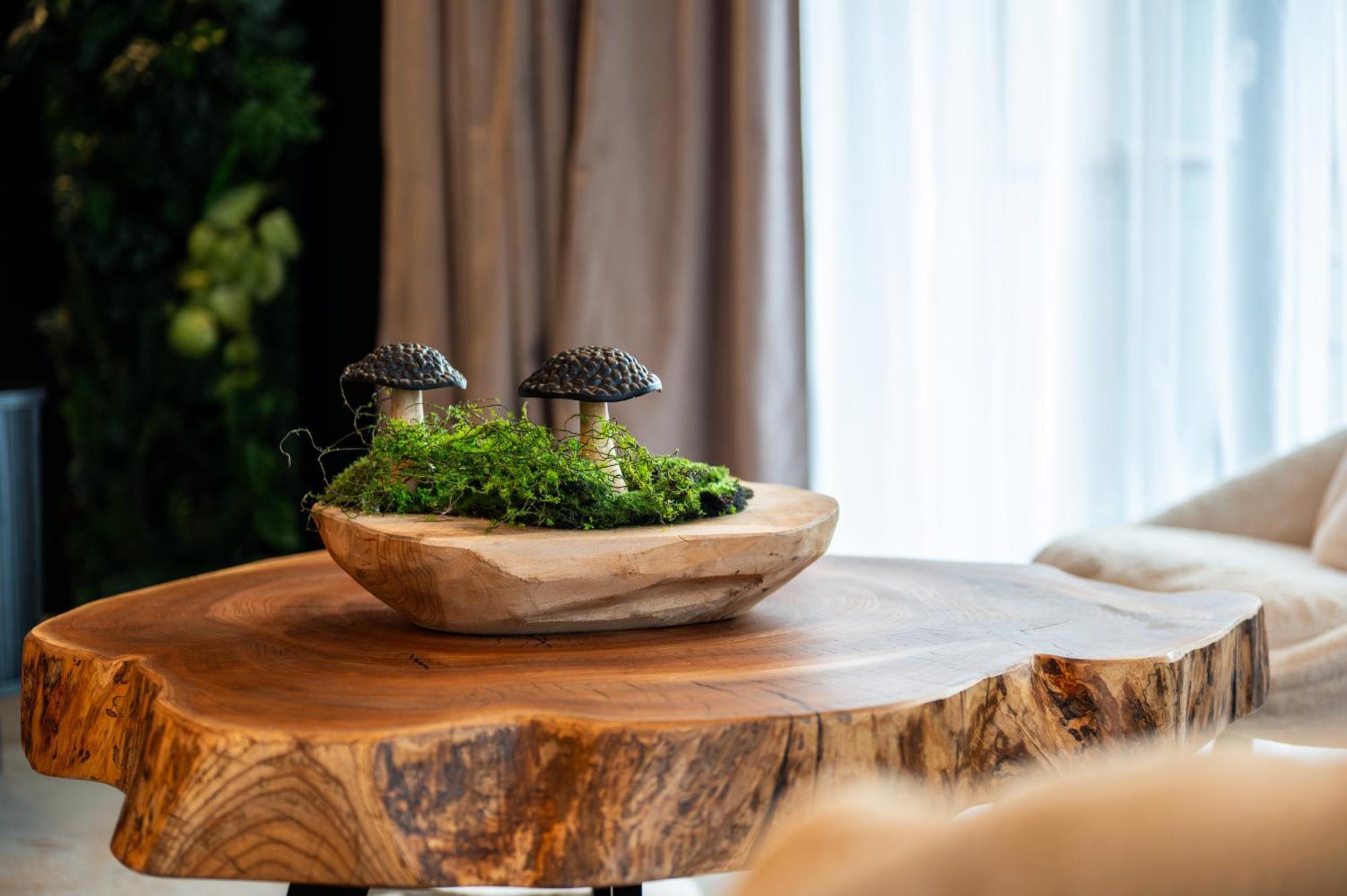 Gorski Eden Karkonosze Apartmán *